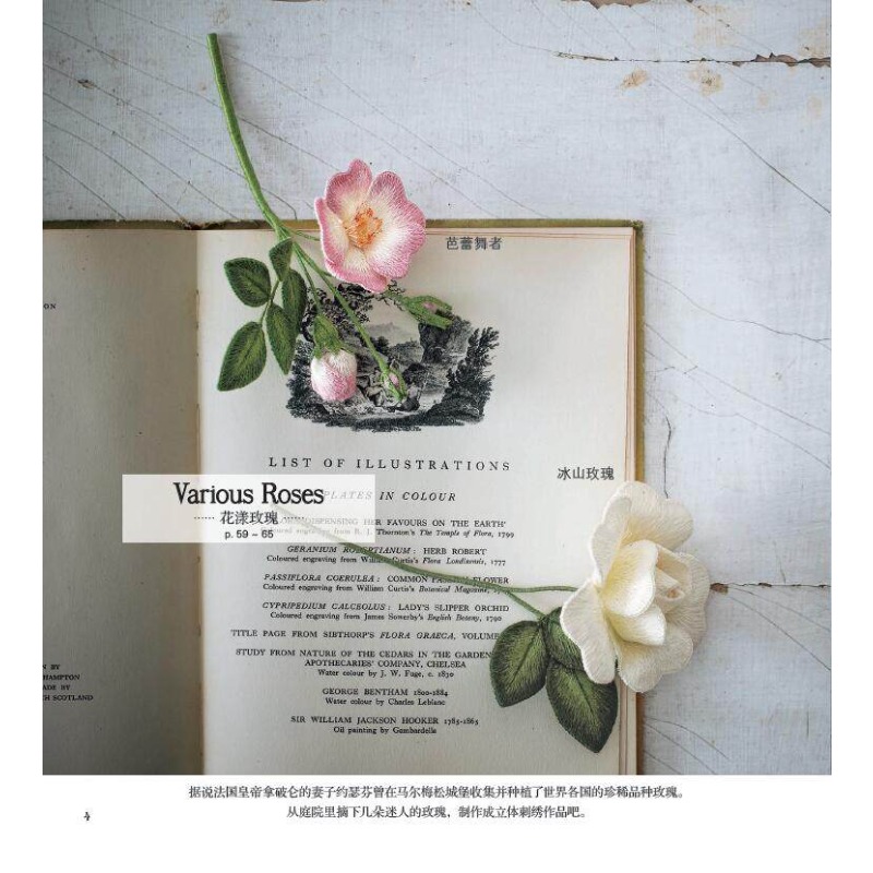 Livre de broderie 3D Stumpwork - Embroidery Guide Book avis et prix