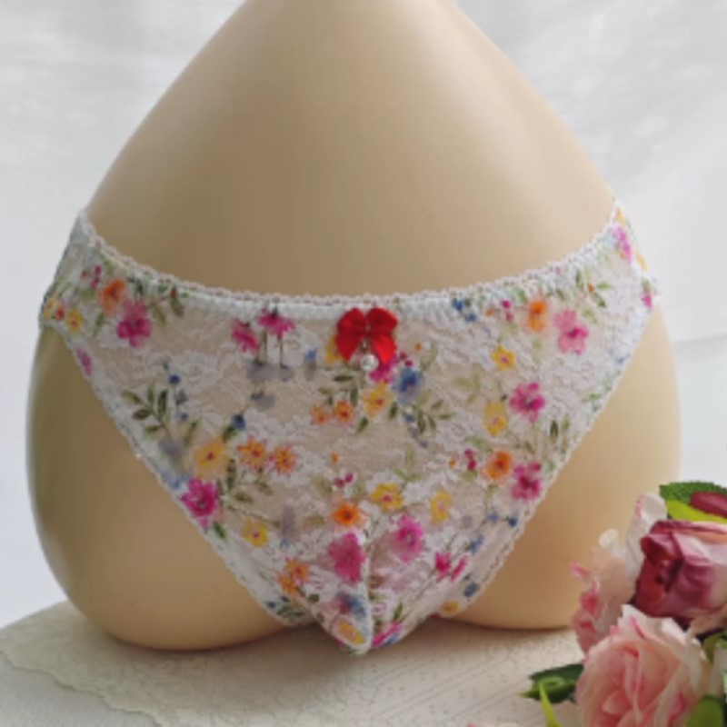 Culotte en dentelle transparen - Embroidery Underwear avis et prix